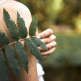 Person holding a leaf branch with a blurred natural background
